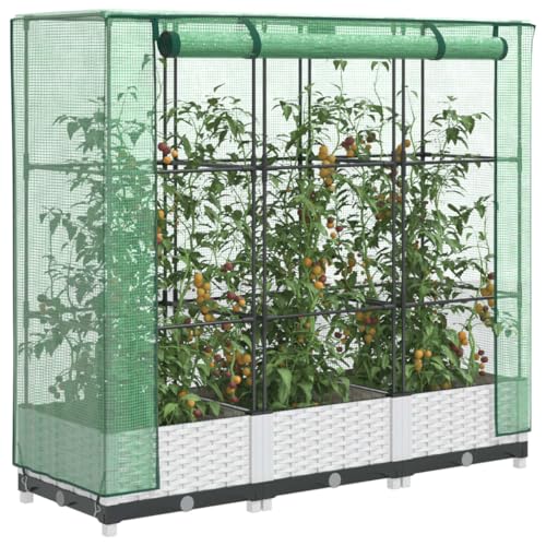 Massbinet Hochbeet mit Gewächshaus-Aufsatz Rattan-Optik 120x40x123 cm von Massbinet