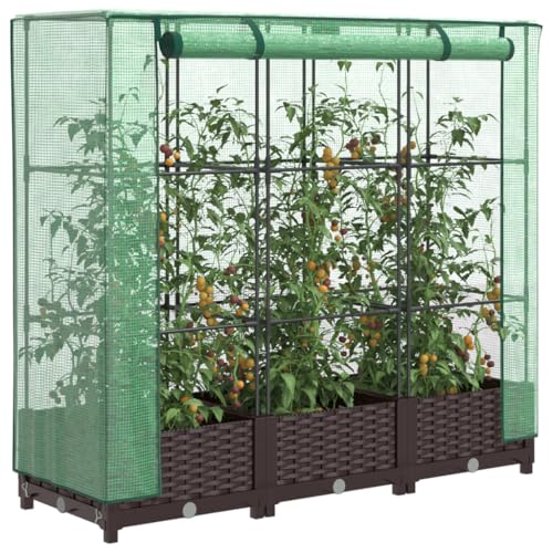 Massbinet Hochbeet mit Gewächshaus-Aufsatz Rattan-Optik Stabiler Stand Blumentöpfe & Pflanzgefäße 120x40x123 cm von Massbinet