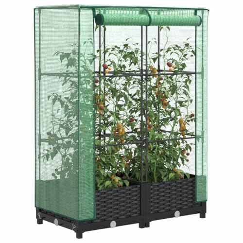 Massbinet Hochbeet mit Gewächshaus-Aufsatz Robust Witterungs Frostbeständig Stabiler Stand Rattan-Optik 80x40x123 cm von Massbinet