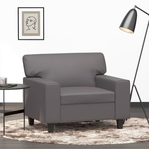 Massbinet Modernes Sofa Kleine Stoffcouch mit Armlehne Mini Sofas für Wohnzimmer Wohnung Büro Einfache Montage Sessel Grau 60 cm Kunstleder von Massbinet