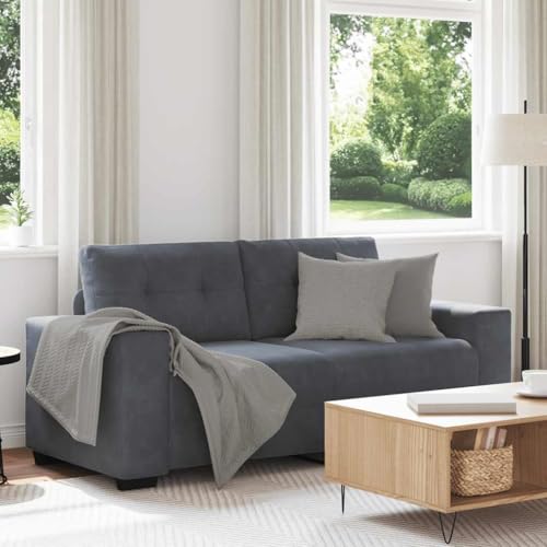 Massbinet Zweisitzer-Sofa Dunkelgrau 140 cm Samt Kleines Sofa Mini Gepolsterte Couch mit 2 Lendenkissen von Massbinet