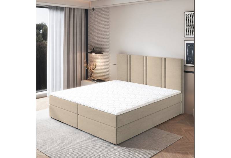 Masseno Boxbett LARIO 160x200 cm mit Bonell Matratze und Topper von Masseno