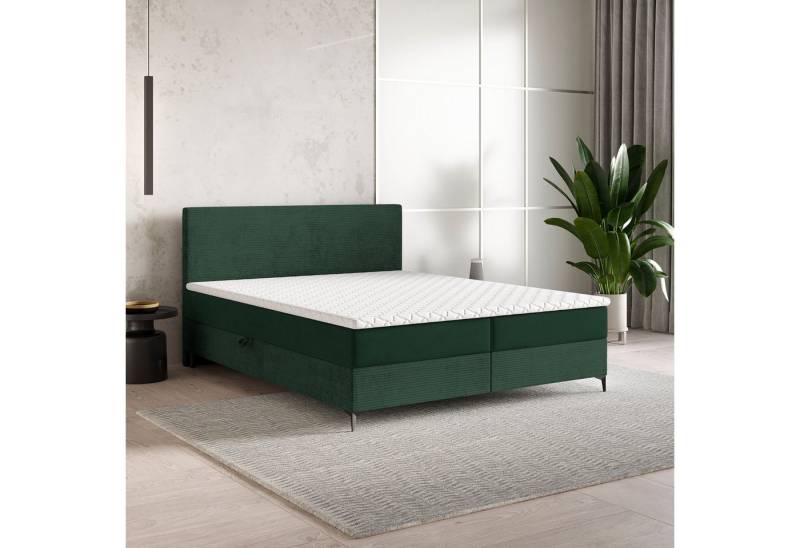 Masseno Boxbett TORREL 180x200 cm mit Bonell Matratze und Topper Masseno Boxbett TORREL 180x200 cm mit Bonell Matratze und Topper von Masseno