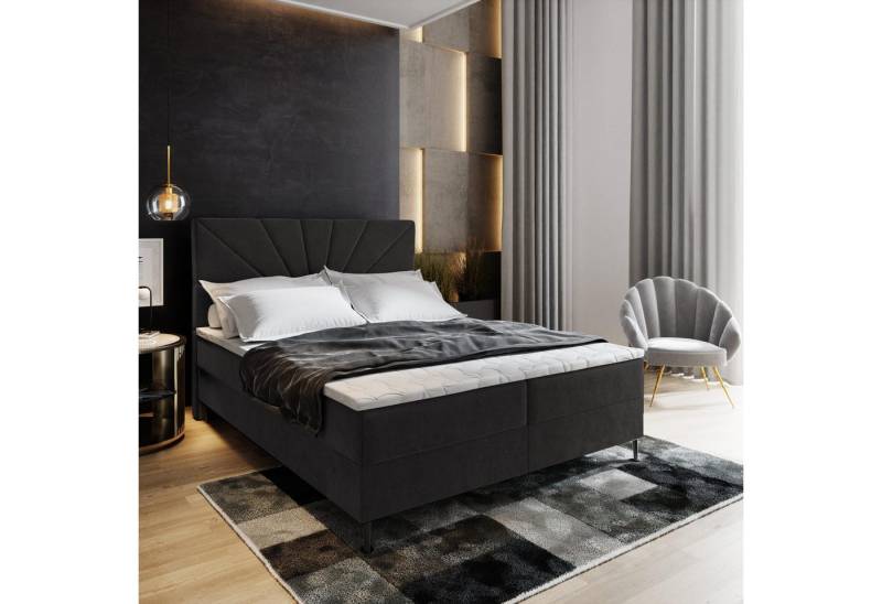 Masseno Boxbett MURI 180x200 cm mit Bonell Matratze und Topper Masseno Boxbett MURI 180x200 cm mit Bonell Matratze und Topper von Masseno