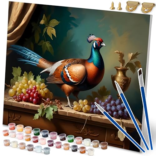 Massido Malen Nach Zahlen 40 x 50 cm Set Mit 3 Pinseln 30 Farben Haken Vogel von Massido