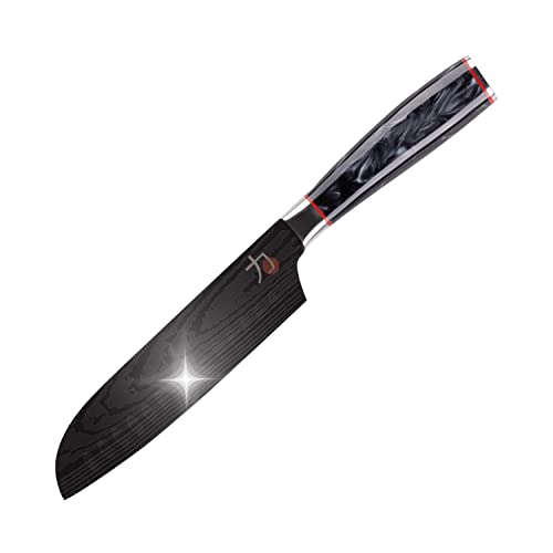 MasterPRO Tetsu | Japanisches Küchenmesser Mini Santoku 12,5 cm | Geeignet zum Präzisionsschneiden | Professionelle Küche | Stabilisiert, Gewichtet und Titanbeschichtet von MasterPRO
