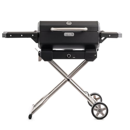 Masterbuilt MB20040722 Holzkohlegrill mit Wagen, Schwarz von MasterBuilt