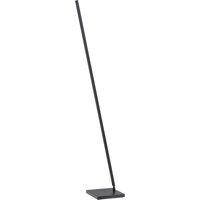 Standleuchte REAL 2 in Schwarz matt dimmbar Standleuchte REAL 2 in Schwarz matt dimmbar von Masterlight