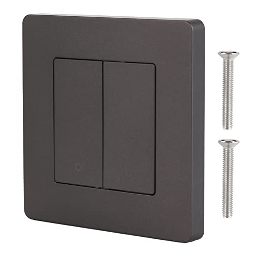 Smart Light Switch, Smart Light Wall -Schalter Kompatibel für 2 Gang Timing DIMPS DIMPS DIMBE Dual Control Switch Panel AC100-240V (Grau) von Masyrt