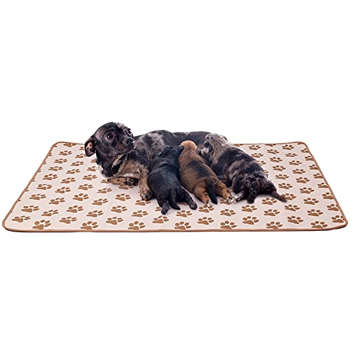 Mateju Dauerhaft Puppy Pads Wiederverwendbare 1 Stück, Welpen Unterlage Urin Absorption PIPI Matten für Hunde Welpenunterlagen Waschbar Trainingspads für Hunde Meerschweinchen (L-86x61cm,Khaki) von Mateju