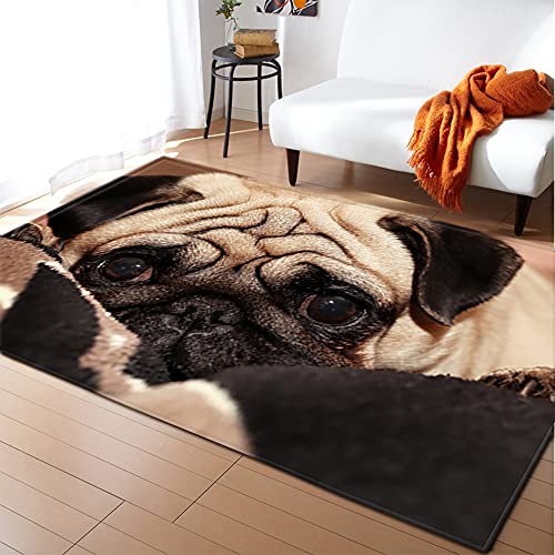 Mateju Teppich Schlafzimmer Wohnzimmer Teppich 3D Tierdruck Dekoration Waschbarer Flanell Teppiche Balkon Terrasse Küchenteppich Bodenmatte Fußmatte (100x120cm,Mops) von Mateju