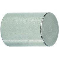 MAUL Magnete Ø 2,0 x 2,5 cm, Ø 2,5 x 3,5 silber von Maul