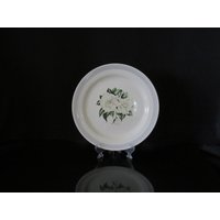 Nautilus Grey Gardenia Homer Laughlin W150 9" Neun Zoll Speiseteller Teller Weiße Blumen Mit Grauen Rand Vintage Geschirr von MauraLynnsCollection