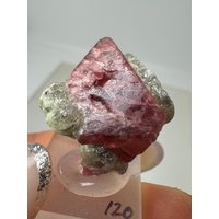 Spinell Roh Kristall Stufe | 10.5Gr Pink Spinel Specimen Crystal Rough, Mahenge Tanzania Spinell Roh Kristall Stufe | 10.5Gr Pink Spinel Specimen Crystal Rough, Mahenge Tanzania von MawinguGems