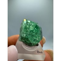 Tsavorit Stufe | 7Gr Roh Tsavorite Specimen Crystal With Tanzanite, Merelani Tanzania von MawinguGems