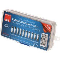 Max Hauri AG 128449 Feinsicherung-Sortiment (Ø x L) 5mm x 20mm Flink -F- Inhalt 100St. von Max Hauri AG