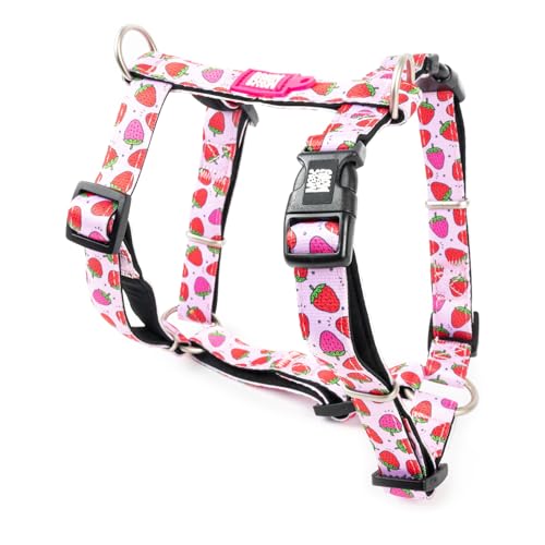 Max & Molly Hundegeschirr in H-Form, Ultrabequemes Geschirr Hund aus Neopren für kleine Hunde, Strawberry Dream/S, Gepolstert, Sicher & Ultraleicht – Komfort für deinen treuen Begleiter Max & Molly Hundegeschirr in H-Form, Ultrabequemes Geschirr Hund aus Neopren für kleine Hunde, Strawberry Dream/S, Gepolstert, Sicher & Ultraleicht – Komfort für deinen treuen Begleiter von Max & Molly Urban Pets