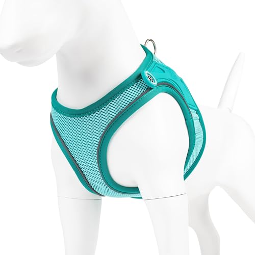 Max & Molly Hundegeschirr Matrix 2.0 Türkis/L als Air Vest Geschirr, Step-In Geschirr mit Gotcha! Smart ID, Außenseite aus leichtem Air Mesh Material - Komfort für deinen treuen Begleiter Max & Molly Hundegeschirr Matrix 2.0 Türkis/L als Air Vest Geschirr, Step-In Geschirr mit Gotcha! Smart ID, Außenseite aus leichtem Air Mesh Material - Komfort für deinen treuen Begleiter von Max & Molly Urban Pets