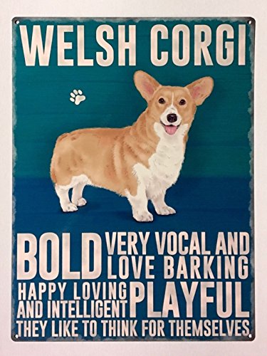 Welsh Corgi Hund Metall Schild von Maxam