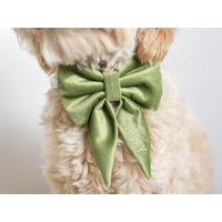 Avocado Grüne Hundeschleife Mit Stickerei, Personalisierte Samthalsbandschleife, Hundehalsschleife, Hundefliege, Schleife Für Hundehalsband | Hund Avocado Grüne Hundeschleife Mit Stickerei, Personalisierte Samthalsbandschleife, Hundehalsschleife, Hundefliege, Schleife Für Hundehalsband | Hund von MaxandCoPets