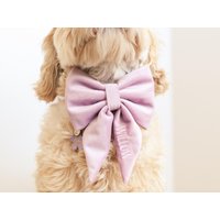 Bestickte Hundeschleife Aus Lavendelsamt - Personalisiertes Halsbandzubehör von MaxandCoPets