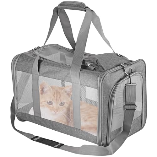 Maxetodo Katzentransportbox Faltbar – Flugzeugtaugliche & Belüftete Reisetasche Für Katzen Und Kleine Hunde Mit Abnehmbarer Stützplatte, Grau (44x31x31cm) Maxetodo Katzentransportbox Faltbar – Flugzeugtaugliche & Belüftete Reisetasche Für Katzen Und Kleine Hunde Mit Abnehmbarer Stützplatte, Grau (44x31x31cm) von Maxetodo