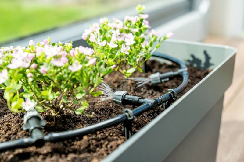 Maximex Blumenkralle Maximex Gartenbewässerungssystem - Einfache Montage, Kunststoff, Sc Maximex Blumenkralle Maximex Gartenbewässerungssystem - Einfache Montage, Kunststoff, Sc von Maximex