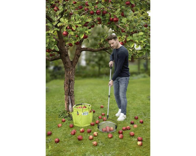 Maximex Blumenkralle Maximex Gartengerät Mod. Rollsammler Teleskopstiel Obstsammler mit Maximex Blumenkralle Maximex Gartengerät Mod. Rollsammler Teleskopstiel Obstsammler mit von Maximex