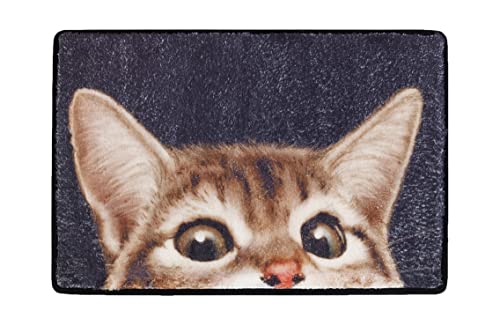 Maximex Fußmatte Katze 60x40 cm - Superweiche Fußabstreifer mit rutschhemmender Unterseite, Polyester, 60 x 40 x 1.5 cm, Mehrfarbig von Maximex