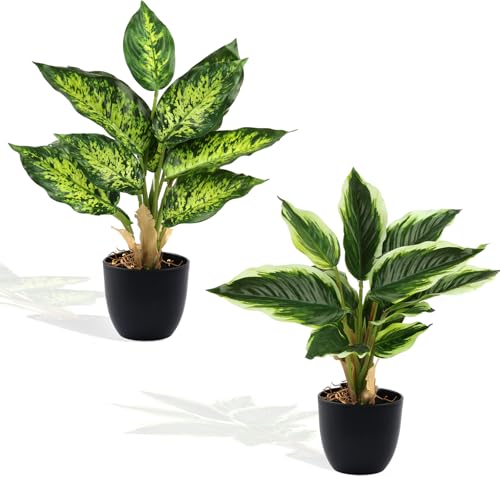 Maxmoc Künstliche Pflanzen Wie Echt,2 Stück Kunstpflanze mit Topf,Künstliche Pflanzen Outdoor Grünpflanzen Fake Plants für Badezimmer Büro Küche Badezimmer Dekoration Maxmoc Künstliche Pflanzen Wie Echt,2 Stück Kunstpflanze mit Topf,Künstliche Pflanzen Outdoor Grünpflanzen Fake Plants für Badezimmer Büro Küche Badezimmer Dekoration von Maxmoc