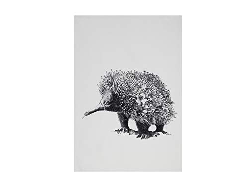 MAXWELL & WILLIAMS Geschirrtuch Echidna 100% indische Baumwolle weiß 50x70 cm von Maxwell & Williams