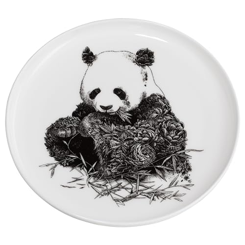 Maxwell & Williams DX0528 Teller Giant Panda – Schwarz-weiß – 20 cm Durchmesser – Keramik – mit Tier-Motiv, in Geschenkbox von Maxwell & Williams