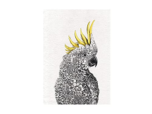 Maxwell & Williams Marini Ferlazzo Birds Bedrucktes Geschirrtuch mit Laughing Kookaburra Design, 100% Baumwolle, Schwarz/Weiß, 50 x 70 cm, Waschmaschinenfähig von Maxwell & Williams