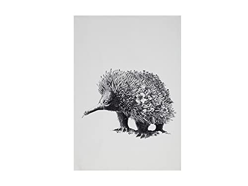 MAXWELL & WILLIAMS Marini Ferlazzo Geschirrtuch Echidna 100% indische Baumwolle, Weiß, 50 x 70 cm von Maxwell & Williams