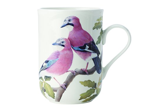 Maxwell & Williams PBW1065 Tasse 330 ml – Birds of the World – Bone China Porzellan, Geschenkbox – Singvogel-Motiv bunt von Maxwell & Williams