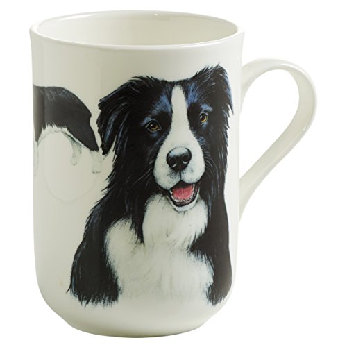 Maxwell & Williams PB0705 Kaffee-Tasse 330 ml rund – Pets – Bone China Porzellan Weiß, Geschenkbox – Motiv Border Collie von Maxwell & Williams