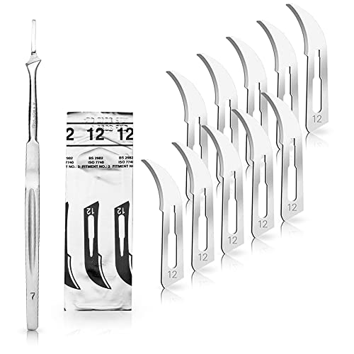 May Set - 10 Stück Skalpellklingen Figur 12 aus Karbonstahl - Ersatzklingen einzeln steril verpackt + 1 x Skalpell-Halter mit 16 cm langem Griff - Edelstahl von May