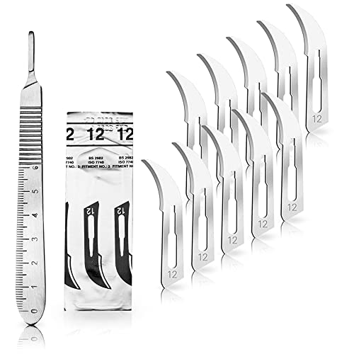 May Set - 10 Stück Skalpellklingen Figur 12 aus Karbonstahl - Ersatzklingen einzeln steril verpackt + 1 x Skalpell-Halter mit 13 cm langem Griff inkl. Meßskala in cm - Edelstahl von May
