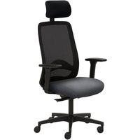 Mayer Sitzmöbel Drehstuhl »2228«, BxH: 70 x 63 cm, grau Mayer Sitzmöbel Drehstuhl »2228«, BxH: 70 x 63 cm, grau von Mayer Sitzmöbel