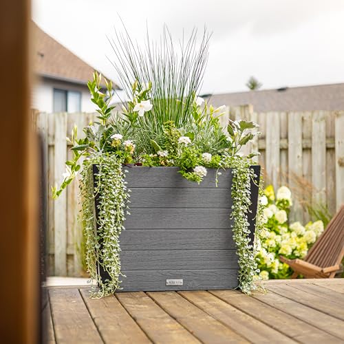 Mayne Vista Pflanzkübel für den Außenbereich, 76,2 cm, modernes konisches Design mit Ablaufloch Mayne Vista Pflanzkübel für den Außenbereich, 76,2 cm, modernes konisches Design mit Ablaufloch von Mayne