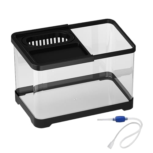Betta Fischtank | Kleine Fischtank -Aquarium -Kits | Klare Landschaftsschalen Feeder für Guppy Snails Turtle Quallen Haustier Liebhaber Anfänger Desktop Apartment von Mbiyhgta