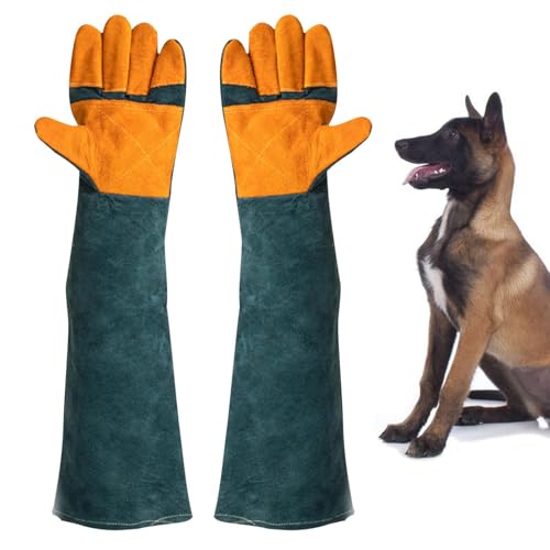 Bissfeste Handschuhe – durchstoßfeste Fäustlinge, Tierkontrollhandschuhe, Schutzausrüstung für Haustiere | robuste Armhandschuhe mit Renfo-Polsterung Bissfeste Handschuhe – durchstoßfeste Fäustlinge, Tierkontrollhandschuhe, Schutzausrüstung für Haustiere | robuste Armhandschuhe mit Renfo-Polsterung von Mbiyhgta