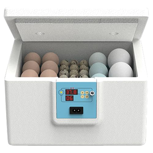 Egg Incubator - Automatischer Eierwender, Luftfeuchtigkeitstemperatur | Intelligente Eierkubatorheizung Berührungssteuer von Mbiyhgta