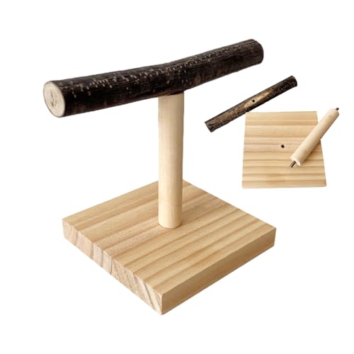 -Training t Stand - Vogelperchstand, Tischplattenbasis, Haustierpraxis Post | Holzstange mit Nicht -Schlupf -Oberfläche und breite Basis zum Training kleine Cockatiels Conures oder von Mbiyhgta