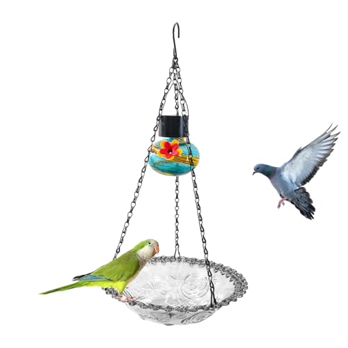Vogelhaus im Freien, Feed Wild Bird | Small Bird Bath – Solar – Birgin mit leistungsstarker LED mit Wasser für Garten Hintergarten Balkon Terrasse Term Zaun Spild – Poolin D von Mbiyhgta