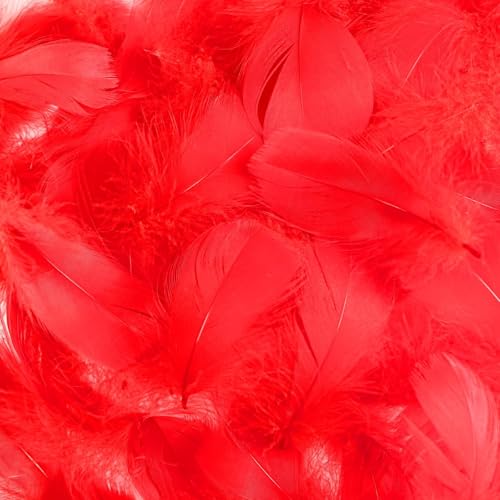 Mbsomnus 600 Stück Federn zum Basteln Rot Federn Natürliche Feder Deko Bastelfedern für DIY Handwerk Traumfänger Ohrringen Kopfschmuck Federblumen Hochzeit Weihnachten Party Dekoration von Mbsomnus