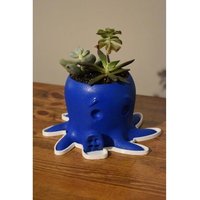 3D Gedruckter Oktopus Übertopf Kleiner Sukkulenten & Kaktus Topf Mit Tablett 3D Gedruckter Oktopus Übertopf Kleiner Sukkulenten & Kaktus Topf Mit Tablett von McMaster3D