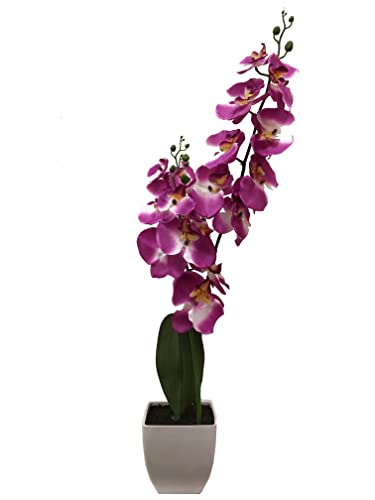 McPalms Orchidee 55 cm hoch mit Topf Lila Kunstpflanze künstlich von McPalms