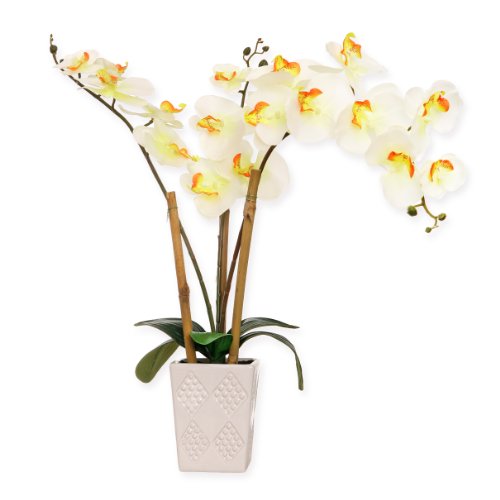 McPalms Orchidee 55 cm hoch mit Topf Weiss Kunstpflanze künstlich von McPalms