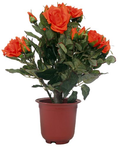McPalms Rosenpflanze 40 cm orange Kunstpflanze Kunstblume von McPalms